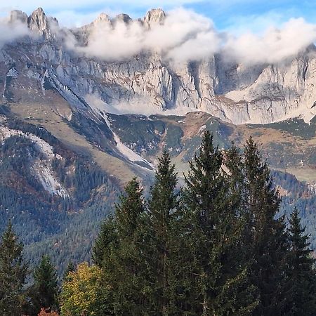 Apartment Unterhollenau Going am Wilden Kaiser Zewnętrze zdjęcie