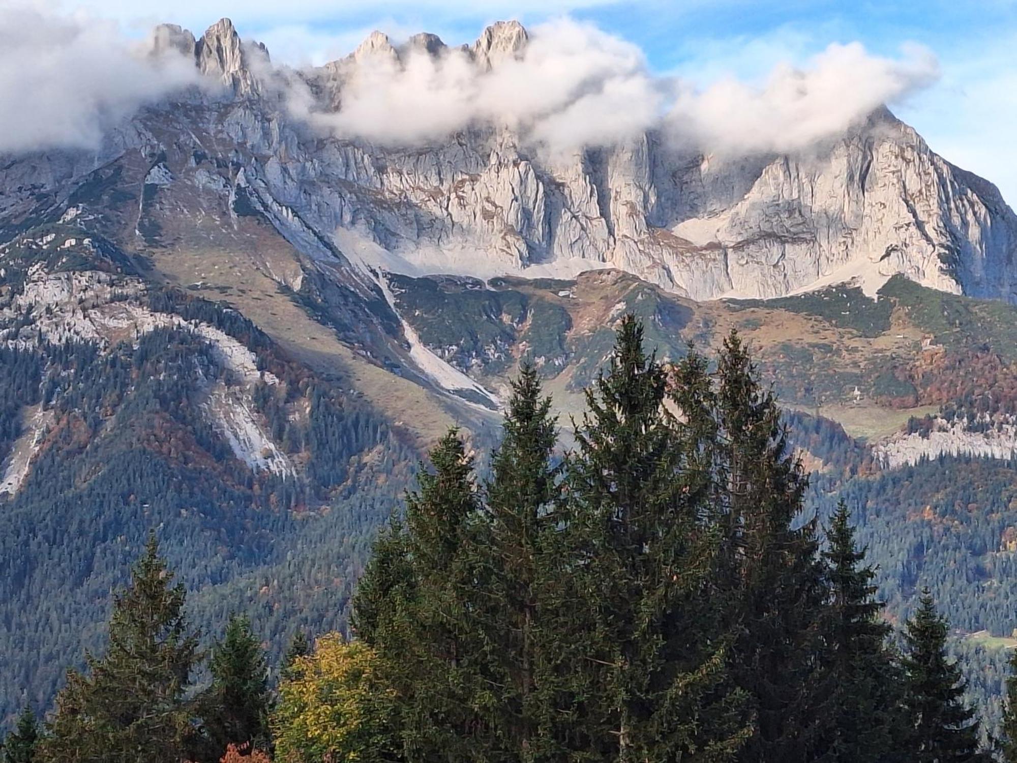 Apartment Unterhollenau Going am Wilden Kaiser Zewnętrze zdjęcie