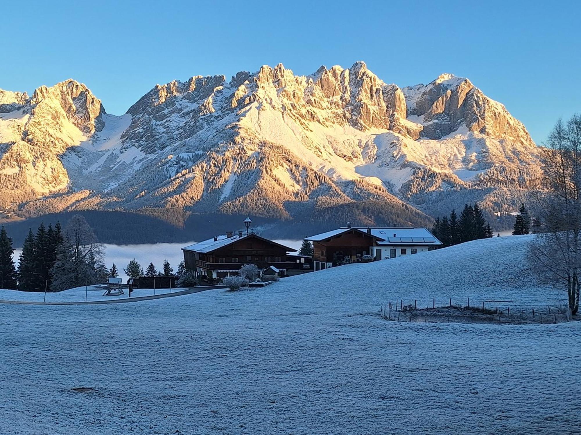 Apartment Unterhollenau Going am Wilden Kaiser Zewnętrze zdjęcie